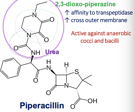 <p>Urea</p>