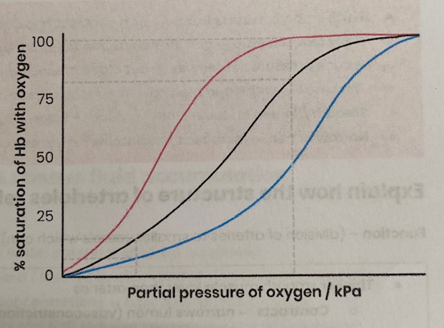 <p><strong>LEFT= Hb has <u>higher</u> affinity for O2</strong></p><ul><li><p><strong>More</strong> O2 <strong>associates </strong>with Hb <strong>more readily </strong></p></li><li><p>At <strong>gas exchange surfaces </strong>where<strong> pO2 is lower</strong></p></li><li><p>e.g. organisms in <strong>low O2 </strong>environments- <strong>high altitudes, underground, </strong>or <strong>foetuses </strong></p></li></ul><p></p>