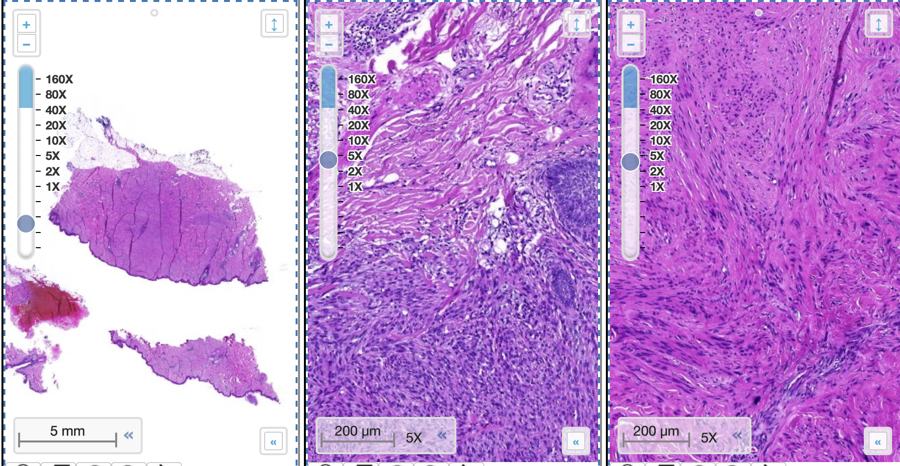 <p>welk preparaat</p>