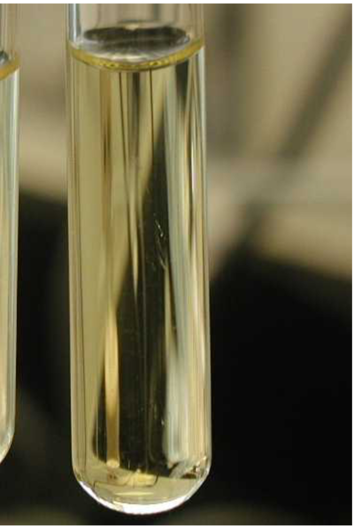 <p>What is shown in this image?</p>