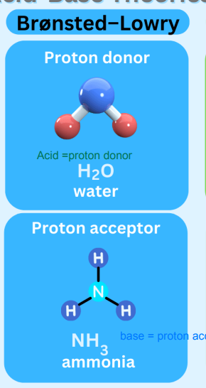 <ul><li><p>proton donor </p></li><li><p>proton acceptor </p></li></ul><p></p>