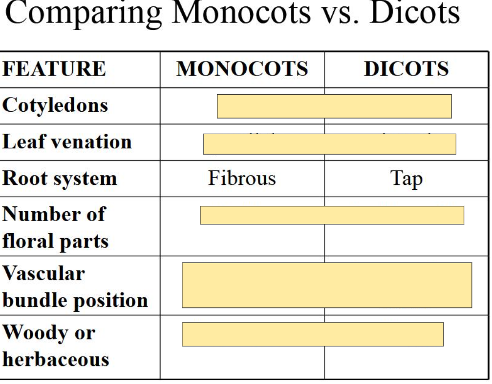 <p>M- Fibrous<br>D- Tap</p>