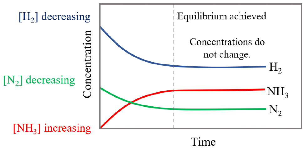 Equilibrium 