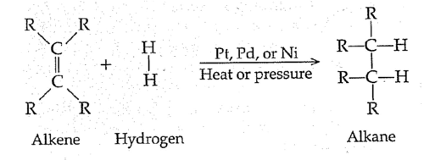 <p>Alkane: Carbon and hydrogen compound where each hydrogen is bonded to a carbon and carbon-carbon single bonds hold the atoms together</p><p>Alkene: Hydrocarbon with at least one carbon to carbon double bond, more reactive than alkane because of double bond</p><p>Nickel is used to convert the alkenes to alkanes when making trans and saturated fats, and margarine</p>