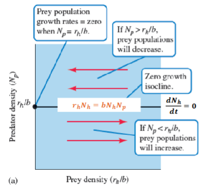 <p>IF Np = GREATER = Prey population DECREASES</p><p>if Np = LESS = Prey population INCREASES</p>