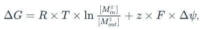 <ul><li><p>The difference between ion concentration across the membrane</p></li><li><p>The membrane potential</p></li><li><p>The charge of the translocated ion (z)</p></li></ul>