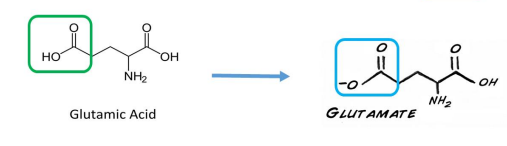 <p>This turns it into a carboxylate group (COO⁻),&nbsp;</p>