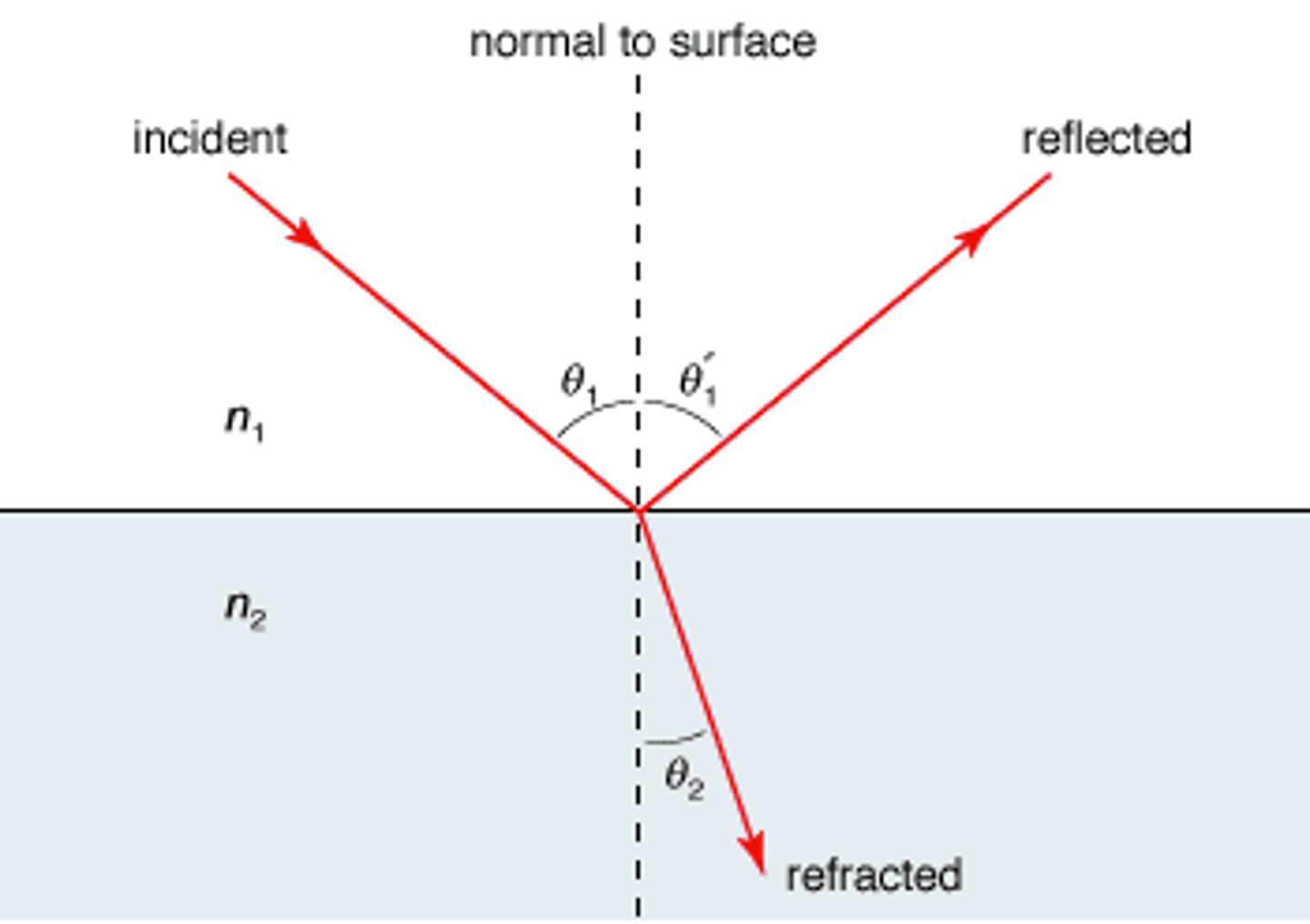 <p>(B) towards, away from</p><p>When light enters a medium with a higher index of refraction, the light will bend towards the normal. When light enters a medium with a lower index of refraction, the light will bend away from the normal.</p>