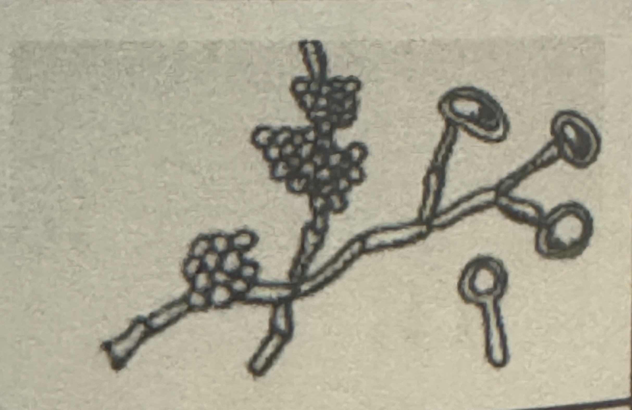 <p><span>what is illustrated</span></p>
