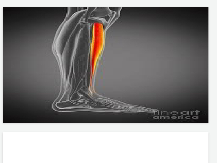 <p>Lower body</p>