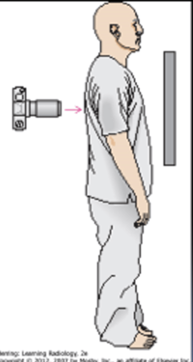 <p>What view is this?</p>