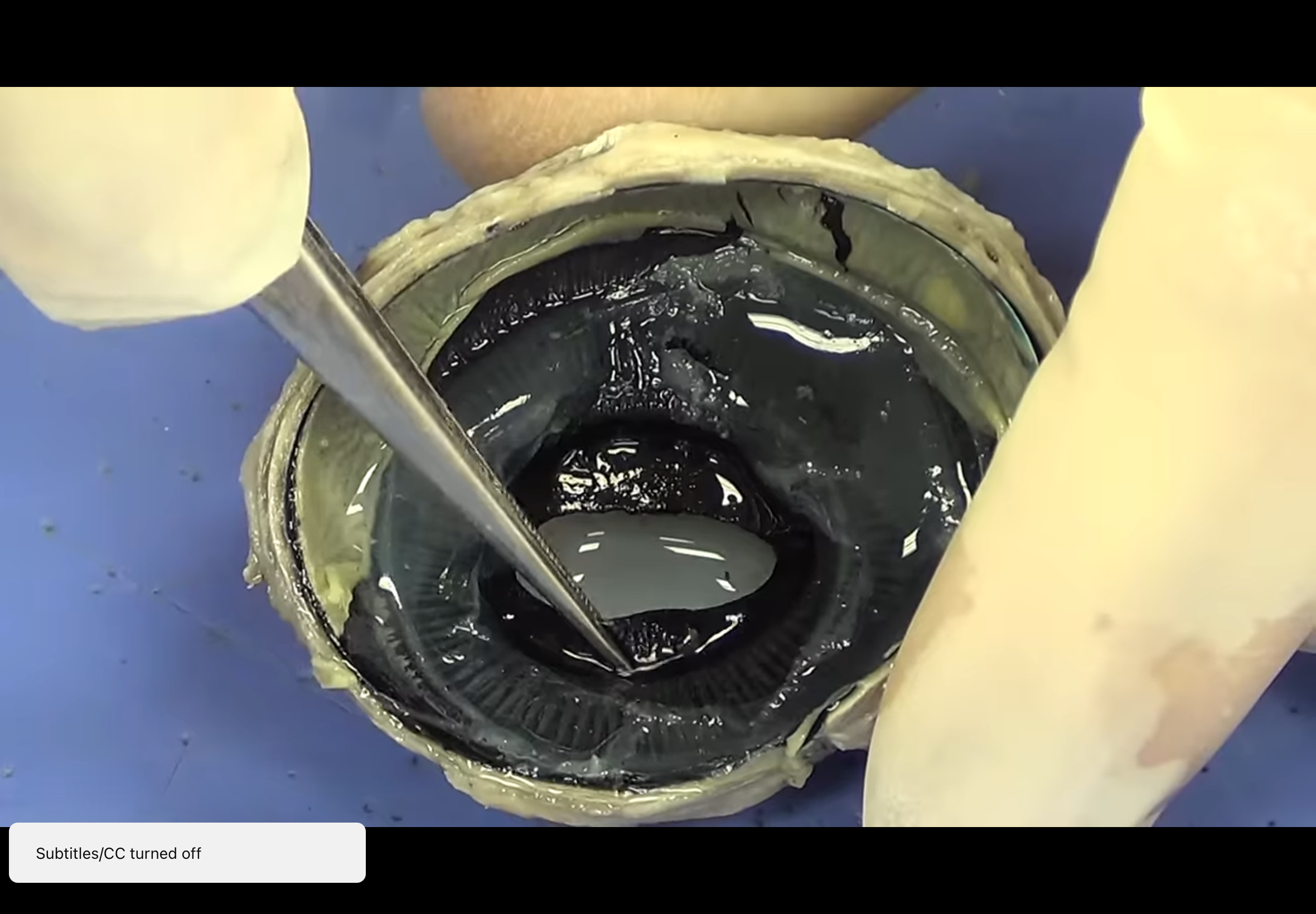 <p>Smooth black structure</p>