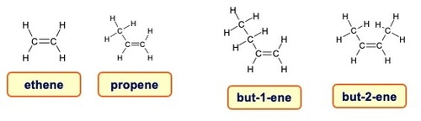 <p>When there are 4 or more carbon atoms in a chain, the location of the double bond is indicated by a number.</p>