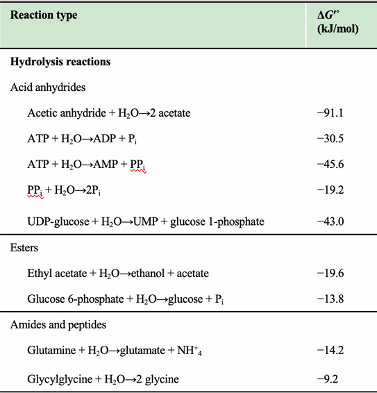<p>Why is glucose 6-phosphate hydrolysis less exergonic than ATP hydrolysis?</p>