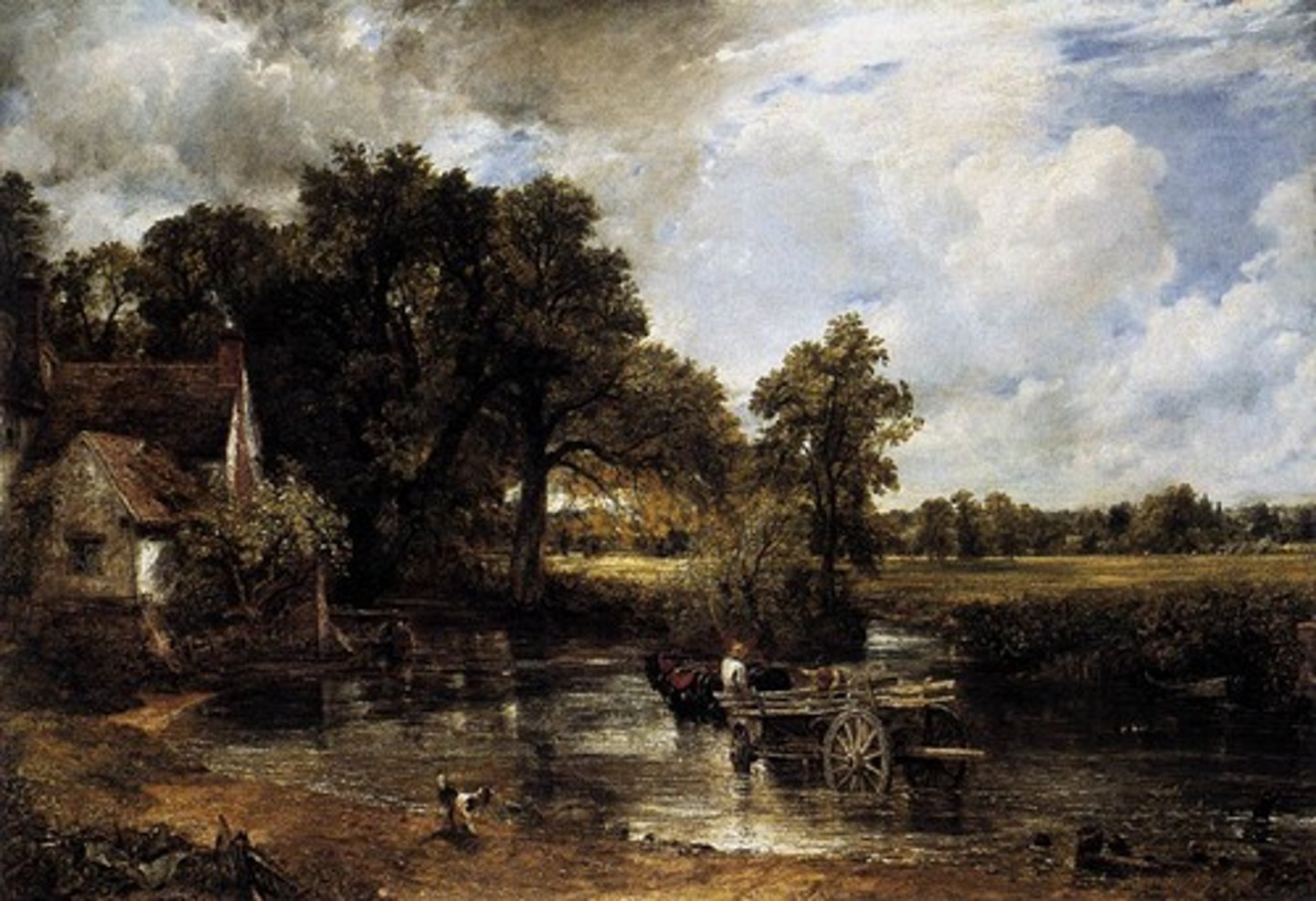 <p>el campo</p>