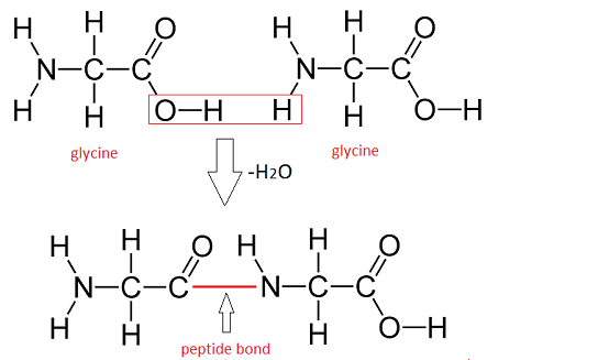 <p>What is this?</p>