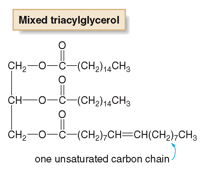 <p>if two or three fatty acids side chains are different,</p><p></p><ul><li><p></p></li></ul><p></p>