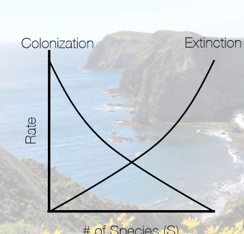 <p>In terms of colonization and extinction rates, what will happen on a smaller island at the same distance the mainland as a larger island, and why?</p>
