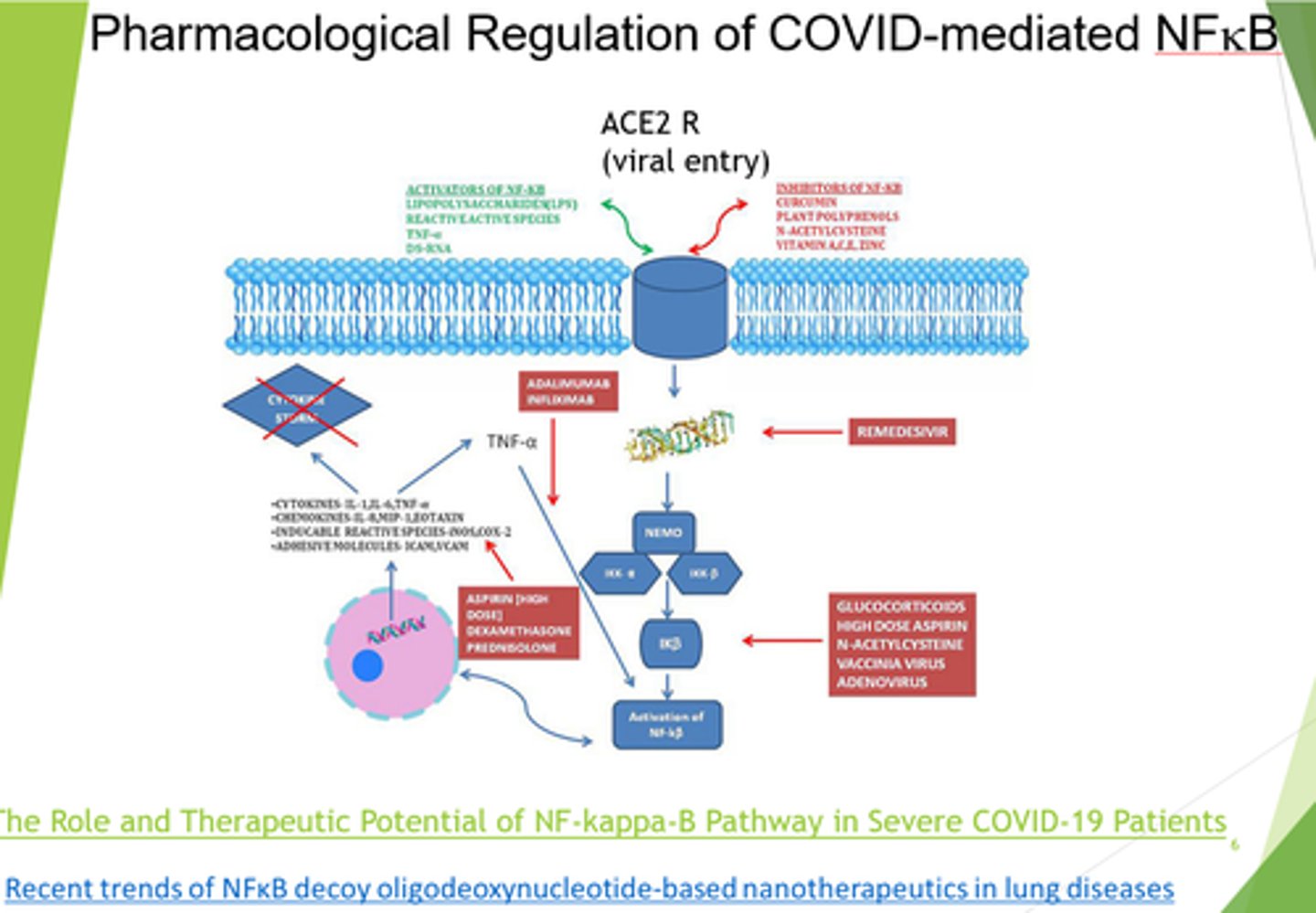 <p>High levels of NFKB induced pro-inflammatory cytokines.</p>