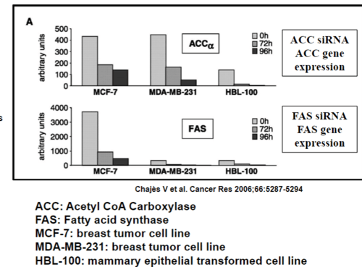 <p>The main takeaway from this figgure is that when the siRNA for each respective enzyme is applied, the amount of that enzyme goes _______________(up/down)</p>
