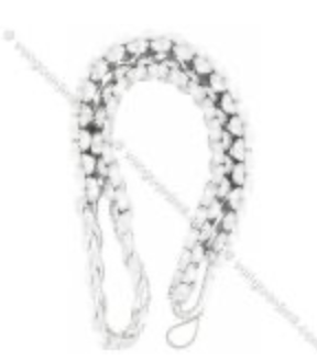 <p><em>*Silver</em>*</p>