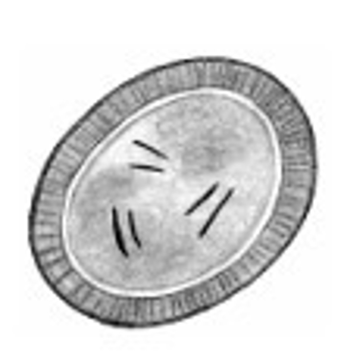 <p>Identify the parasite</p>