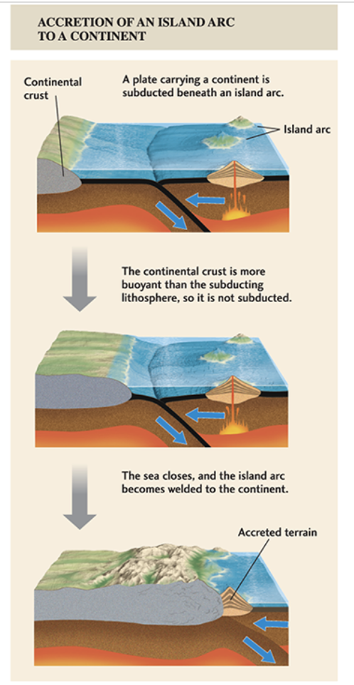 <p>sea between an island chain and a continent disappears as island's crust combines with the advancing edge of continent</p>