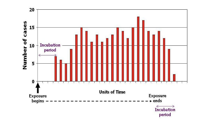 <p>What type of infection does this curve represent ?</p>