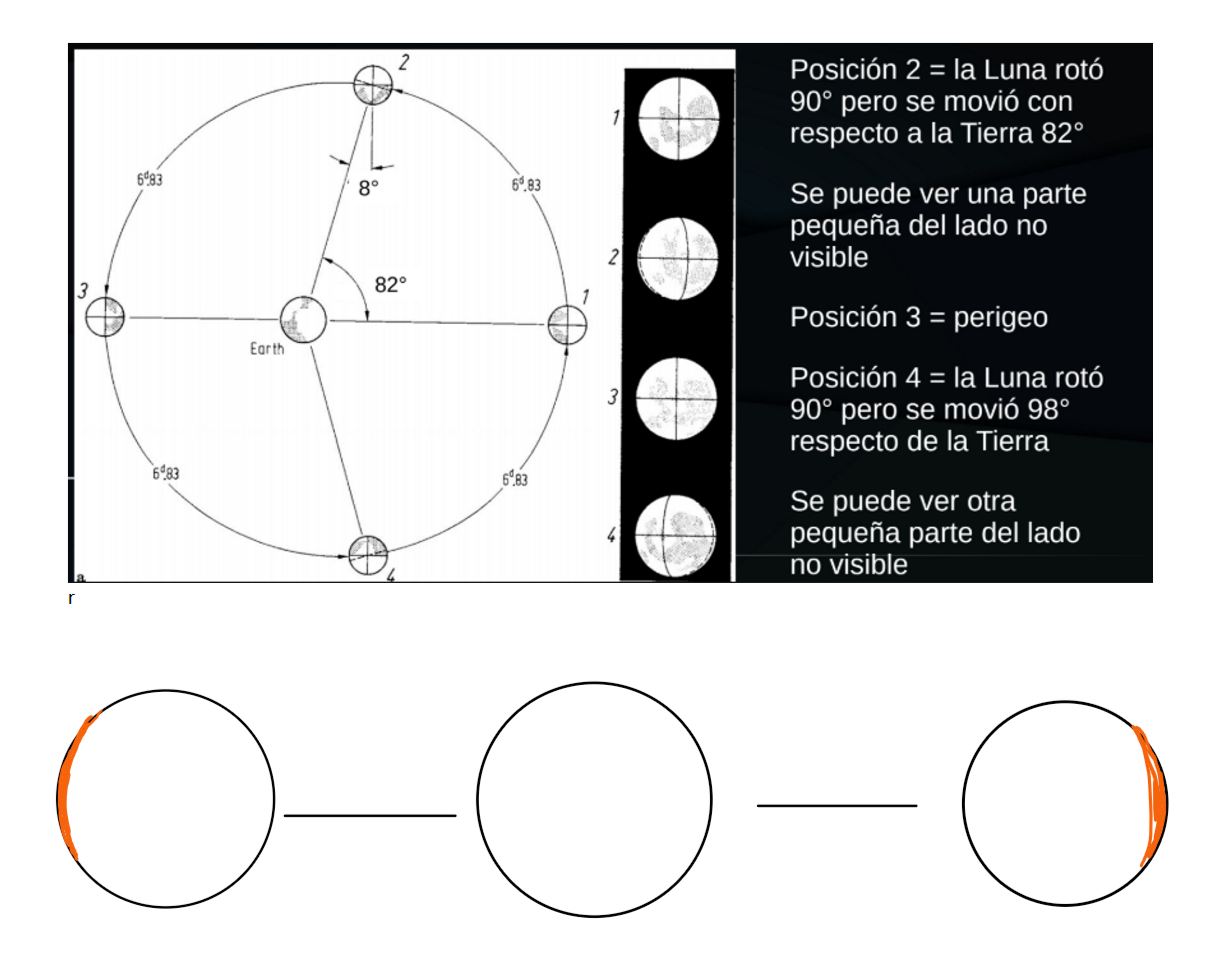 <p>debido a que la orbita lunar es eli[tica —&gt; su velocidad orbital no es constante pero su veolcidad de rptacion si lo es.</p><ul><li><p>permite ver un poco mas cuando las velocidades no estan sinconizadas</p></li></ul><p></p>