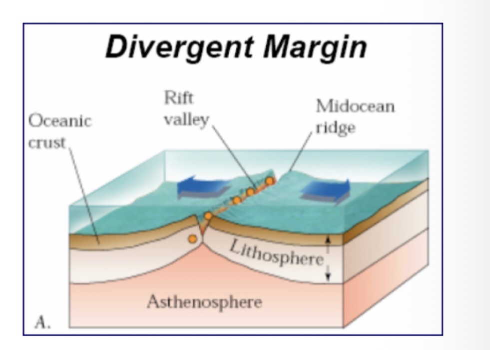 <p><strong>DESCRIBE the processes of seafloor spreading and subduction, and the evidence for these processes</strong></p><p>How many tectonic plates are in this picture?</p>