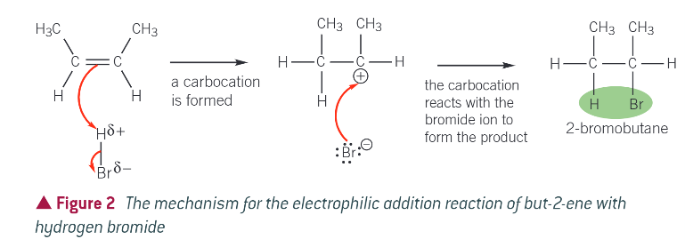 <ul><li><p>bromine is more electronegative than hydrogen, so hydrogen bromide is polar and contains the dipole H+-Br- (delta)</p></li><li><p>the electron pair in the pi bond is attracted to the partially positive hydrogen atom, causing the double bond to break</p></li><li><p>a bond form between the hydrogen atom of the H-Br molecule and a carbon atom that was a part of the double bond</p></li><li><p>the H-Br bond breaks by heterolytic fission, with the electron pair going to the bromine atom</p></li><li><p>a bromide ion (Br-) and a carbocation are formed. A carbocation contains a positively charged carbon atom</p></li><li><p>in the final step the Br- ion reacts with the carbocation to form the addition product</p></li></ul><p></p>