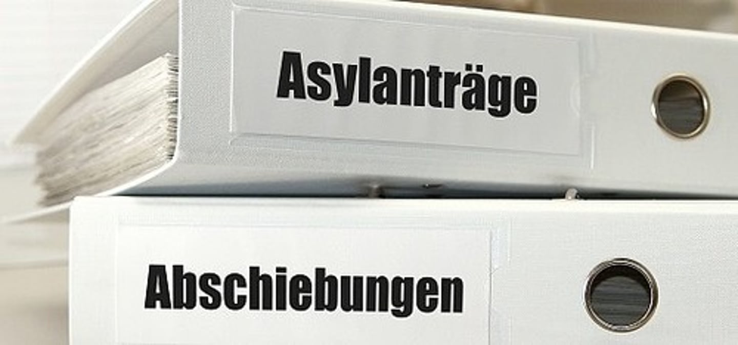 <p>asylum proceedings</p>