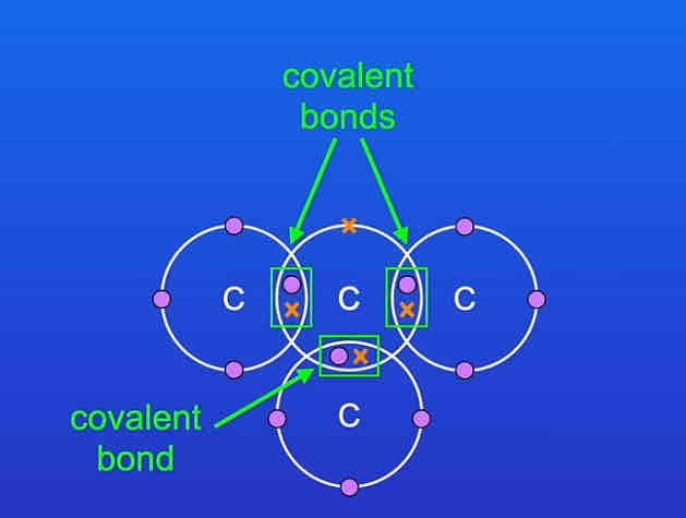 <p>three other carbon atoms </p>