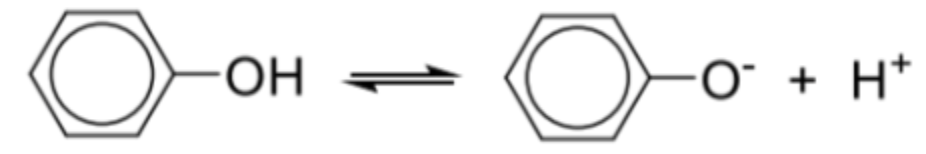 <ul><li><p><span style="background-color: transparent;"><span>Relative acidity: phenol > water > alcohol</span></span></p></li><li><p><span style="background-color: transparent;"><span>Phenol can behave as an acid by donating protons</span></span></p></li></ul><p></p><ul><li><p><span style="background-color: transparent;"><strong><span>Greater</span></strong><span> acidity of phenol is due to the </span><strong><span>stabilisation</span></strong><span> of </span><strong><span>phenoxide anion </span></strong><span>(C6H5O–) by charge dispersal</span></span></p><ul><li><p><span style="background-color: transparent;"><span>The p-orbital of oxygen overlaps with the pi electron cloud of the benzene ring -> delocalisation of negative charge on the oxygen into the benzene ring -> disperses the negative charge on the O atom -> phenoxide anion is stabilised by charge dispersal</span></span></p></li><li><p><span style="background-color: transparent;"><span>Hence, phenol is more acidic than water as such delocalisation effect and dispersion of charge is not found in water</span></span></p></li></ul></li></ul><p></p>
