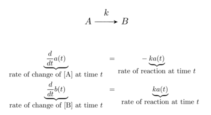 <p>This equation models…</p><ul><li><p>decay</p></li><li><p>production and decay</p></li><li><p>irreversible conversion</p></li><li><p>reversible conversion</p></li><li><p>enzymatic reaction</p></li><li><p>spatial reaction networks</p></li><li><p>stochastic system</p></li></ul><ul><li><p>predator-prey relationship (Lotka-Volterra)</p></li></ul><p></p>