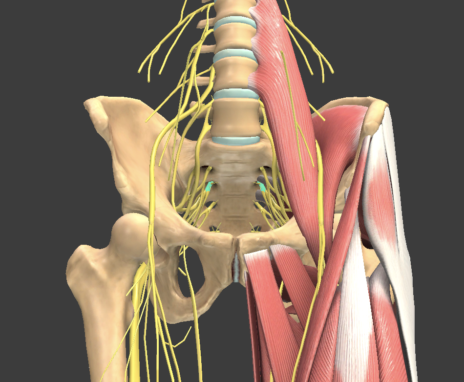<p>What structure is shown?</p>