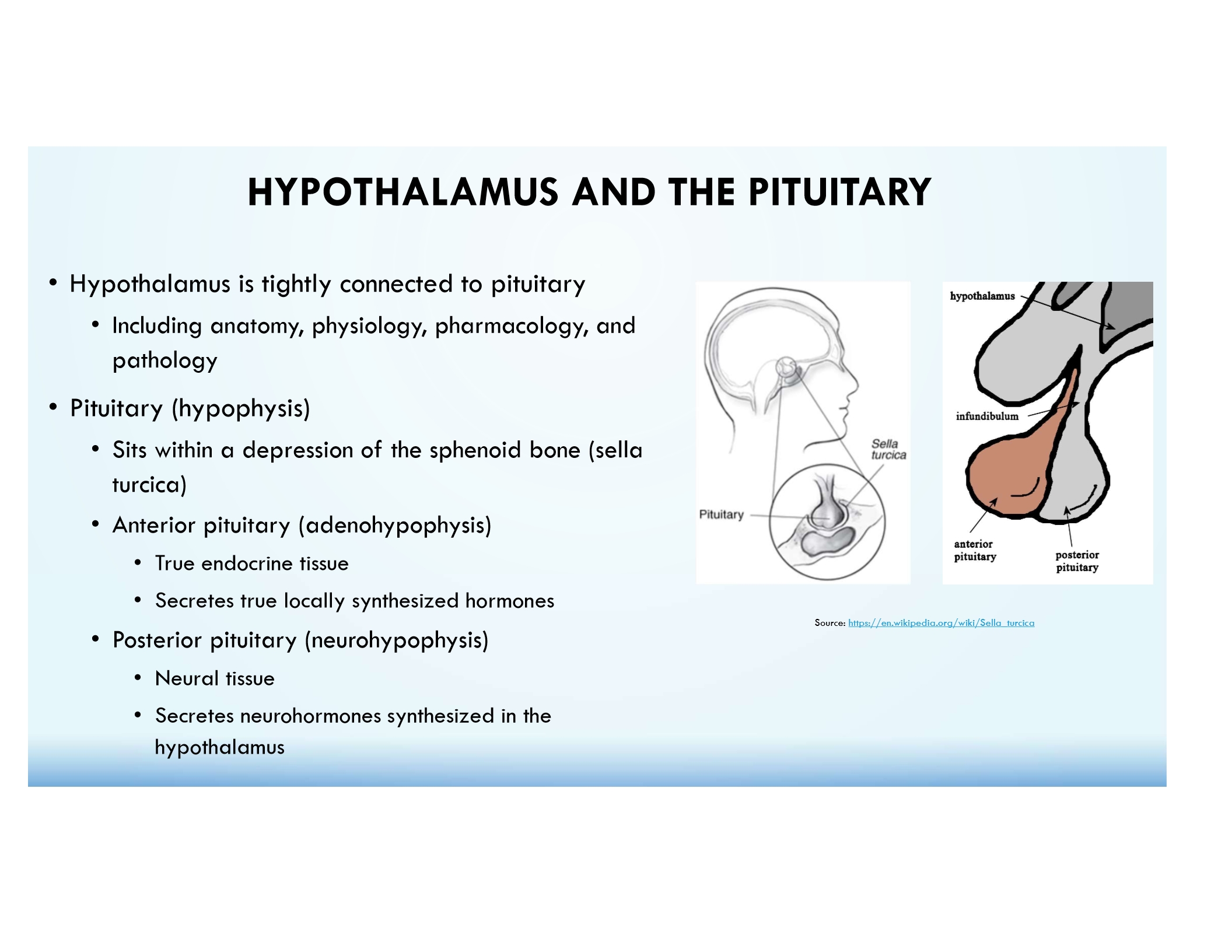 <p>Neural tissue that stores &amp; releases hypothalamic neurohormones (ADH &amp; Oxytocin).</p><p>Main blood supply = Inferior Hypophyseal aa.</p>