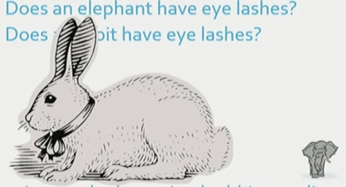 <p>He got participants to imagine an elephant sized rabbit, and a fly sized elephant. Then he asked participants the detailed questions. </p><p></p><p>What he found was that people’s response times were faster for the elephant sized rabbit, compared to the fly sized elephant.</p><p></p><p>Therefore, supporting the <strong>functional equivalence hypothesis </strong>because it suggest that participants had to mentally zoom in to the smaller object because it was taking up less mental space (hence, maintaining those spatial relations).  </p>