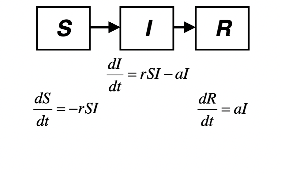 <p>SIR model</p>