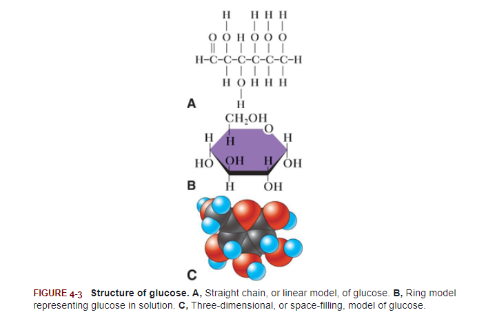 <p>Glucose is present in the dry state as a straight chain but curls into a <strong>cyclic </strong>compound (ring) when dissolved in water.</p>