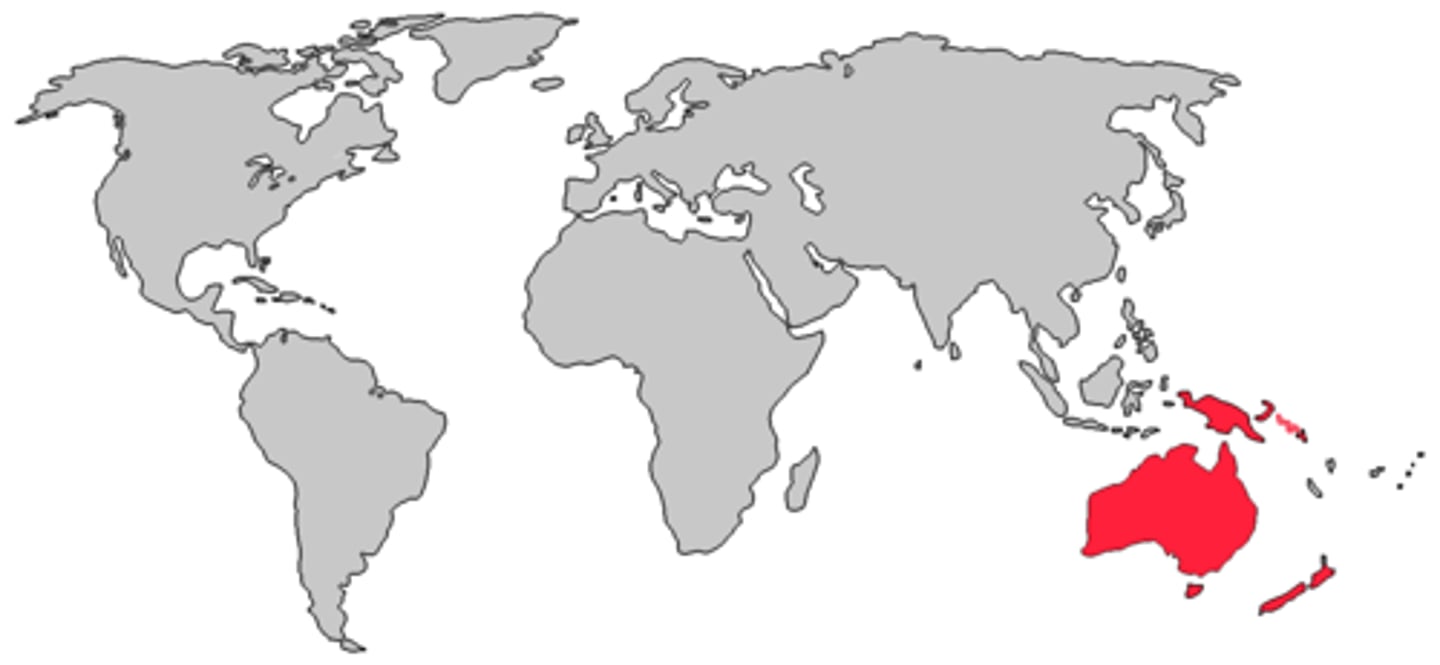 <p>this region</p>