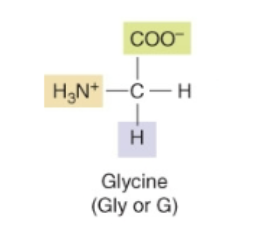 <p>There are multiple dissociable groups in a single molecule</p><p>Two equivalents of NaOH are needed to remove both protons</p>