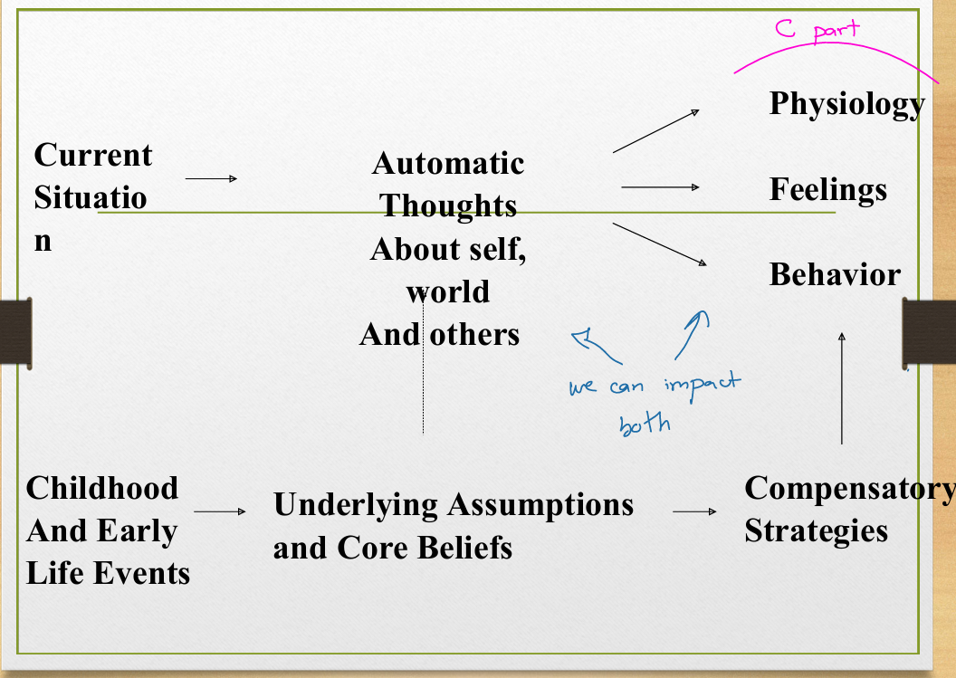 <p>1 .<strong><u>Three step model</u></strong><u>:</u><br><br>Event—&gt; Cognitions —&gt; Feelings —&gt; Behaviors<br>It’s <strong>not the event itself</strong> that causes emotional reactions, but <strong>how we interpret it.</strong><br><br><strong> 2.</strong><u> </u><strong><u>ABC Model:</u></strong><br><strong>A</strong>ctivating event —&gt; <strong>B</strong>elief —&gt; <strong>C</strong>onsequences<br><br><strong>Activating event </strong><br>        <span>↓</span><br>Person’s thinking becomes rigid and distorted<br>        ↓<br>Dysfunctional <strong>beliefs</strong> and thoughts are activated. <br>        ↓<br>Behaviors and self-thoughts become fixed<br>        ↓<br>Specific emotions, behaviors, and physical reactions. <strong>(Consequences)</strong></p><p><strong>3 .<u> Hierarchical organization of thinking </u></strong></p><ol><li><p><strong>Core beliefs </strong>- <br>rigid and unconscious.<br>Usually formed in childhood. <br>Can be negative/positive. <br>Example: “I have to be perfect”</p></li><li><p><strong>Underlying assumptions/beliefs</strong>- These are conditional beliefs, often in the form of "if-then" statements, expectations, or rules. <br>Come from and protect Core beliefs.<br>These are unarticulated assumptions.</p></li><li><p><strong>Negative automatic thoughts-</strong><br>Come when you are<strong> </strong>in a stressful situation.<br> These are immediate, involuntary thoughts in response to everyday situations.<br>They don’t come from reasoning.<br><br>We can impact the automatic thoughts which can change the way we react physically, emotionally and behaviorally.<br></p></li></ol><p></p>