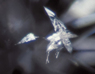 <p>What inclusion is this?</p>