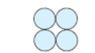 <p>group of 4 cocci </p>