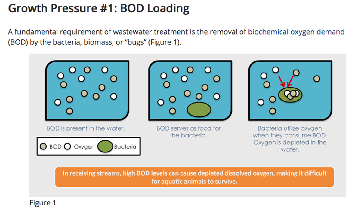<p><span><span>-Bacterial decomposition of organic matter uses up O</span><sub><span>2</span></sub><span> in water.</span></span></p><p><span>-<strong>Biochemical oxygen demand</strong><span> or </span><strong><span>B.O.D.</span></strong><span> is the amount of dissolved oxygen needed by aerobic biological organisms in a body of water to break down organic material present in a given water sample at certain temperature over a specific time period.</span></span></p>