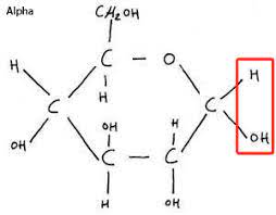 <p>Hydrogen is above Carbon 5.</p>