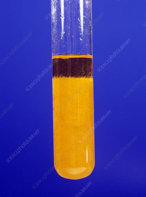 <p>Brady’s Reagent is a solution of 2,4DNP/H in a mixture of methanol and sulfuric acid.</p><p>It can be used to detect the presence of carbonyl groups - whether something is an aldehyde or a ketone as in the presence of either a yellow/orange precipitate is formed.</p><p>It has a pale orange colour.</p>