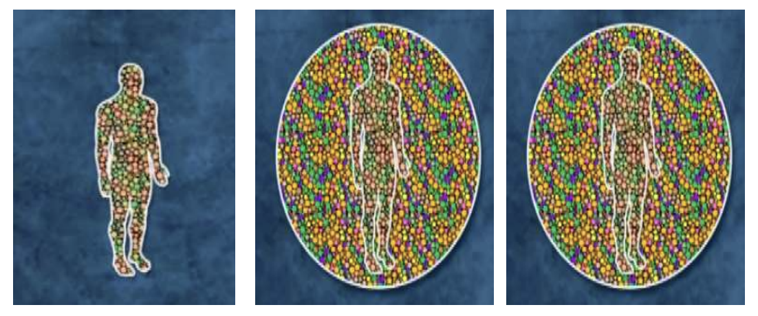 <p>Describe human body in terms of <strong>cell composition</strong></p>