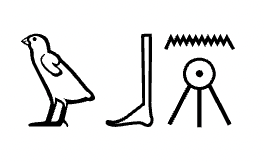 term image